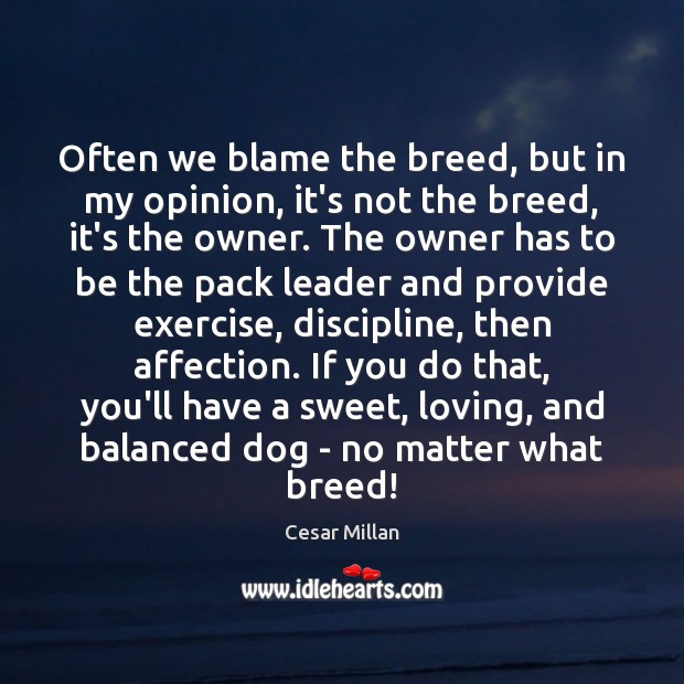 Often we blame the breed, but in my opinion, it’s not the Cesar Millan Picture Quote