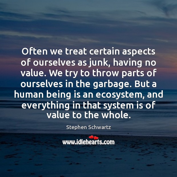 Often we treat certain aspects of ourselves as junk, having no value. Stephen Schwartz Picture Quote