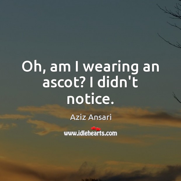 Oh, am I wearing an ascot? I didn’t notice. Aziz Ansari Picture Quote