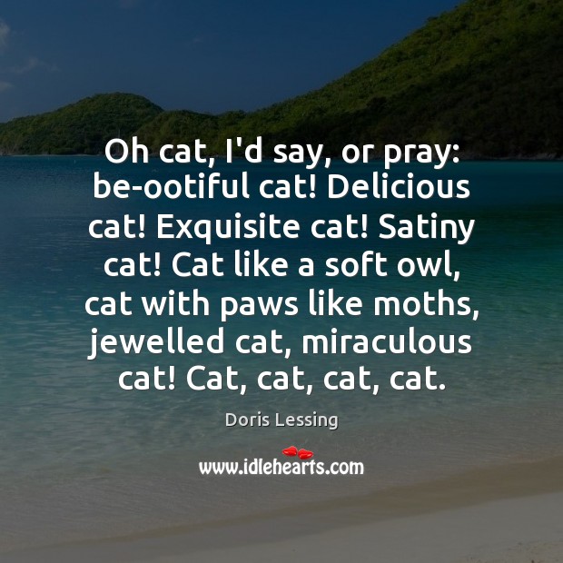 Oh cat, I’d say, or pray: be-ootiful cat! Delicious cat! Exquisite cat! Doris Lessing Picture Quote