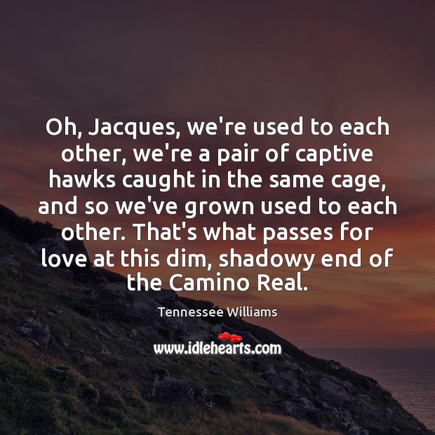 Oh, Jacques, we’re used to each other, we’re a pair of captive Tennessee Williams Picture Quote