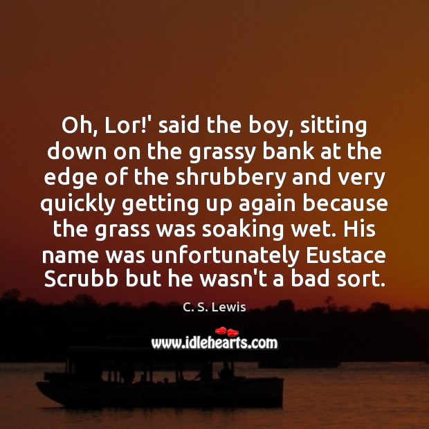 Oh, Lor!’ said the boy, sitting down on the grassy bank C. S. Lewis Picture Quote