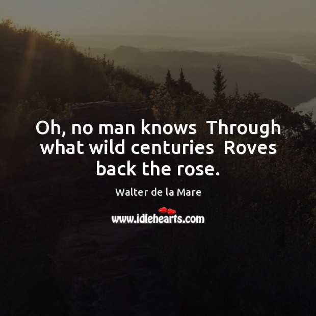 Oh, no man knows  Through what wild centuries  Roves back the rose. Walter de la Mare Picture Quote