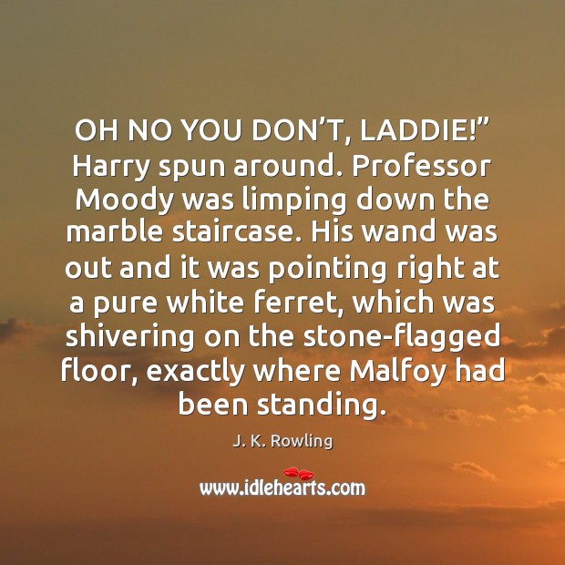 OH NO YOU DON’T, LADDIE!” Harry spun around. Professor Moody was J. K. Rowling Picture Quote