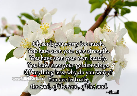 Oh soul, you worry too much. Image