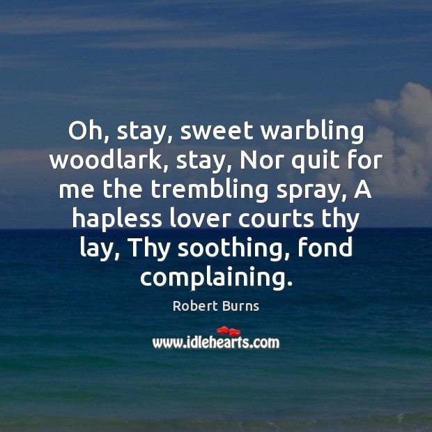 Oh, stay, sweet warbling woodlark, stay, Nor quit for me the trembling Robert Burns Picture Quote