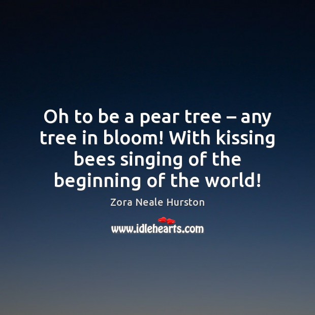 Oh to be a pear tree – any tree in bloom! With kissing Image