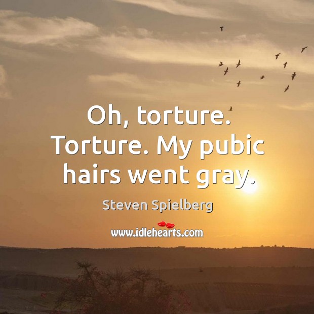 Oh, torture. Torture. My pubic hairs went gray. Steven Spielberg Picture Quote