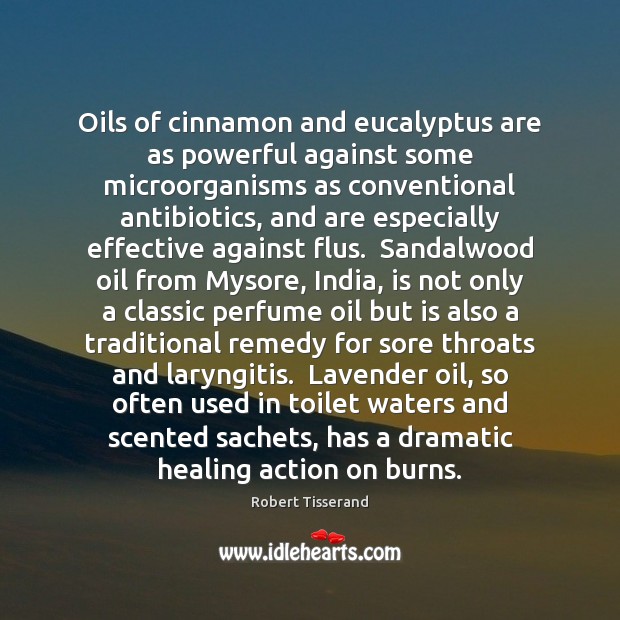 Oils of cinnamon and eucalyptus are as powerful against some microorganisms as Robert Tisserand Picture Quote