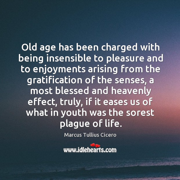 Old age has been charged with being insensible to pleasure and to enjoyments Image