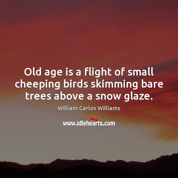 Old age is a flight of small cheeping birds skimming bare trees above a snow glaze. Image