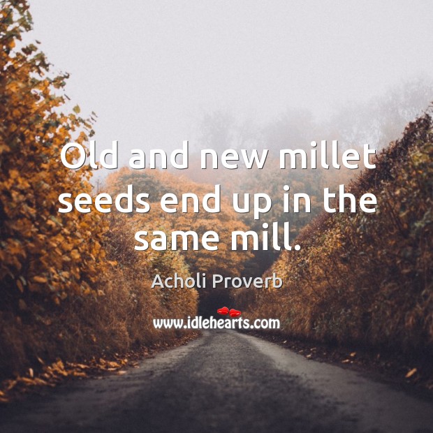 Old and new millet seeds end up in the same mill. Acholi Proverbs Image