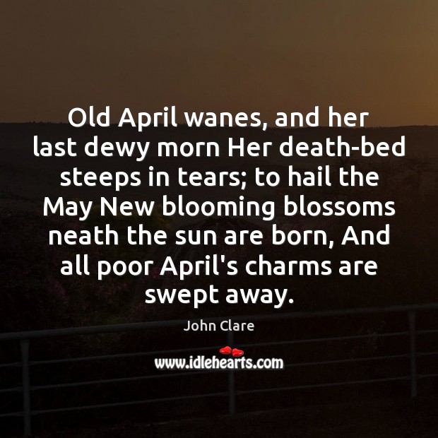 Old April wanes, and her last dewy morn Her death-bed steeps in John Clare Picture Quote