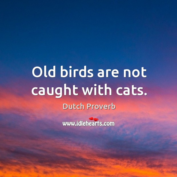 Old birds are not caught with cats. Image