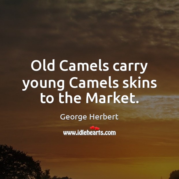 Old Camels carry young Camels skins to the Market. George Herbert Picture Quote