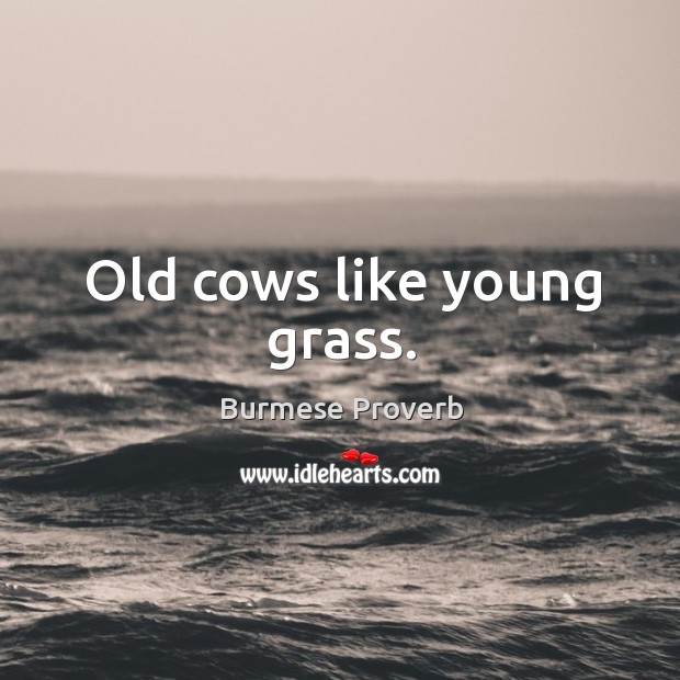 Old cows like young grass. Burmese Proverbs Image
