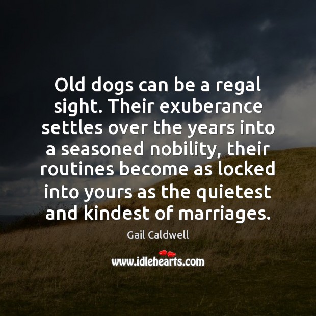 Old dogs can be a regal sight. Their exuberance settles over the Gail Caldwell Picture Quote