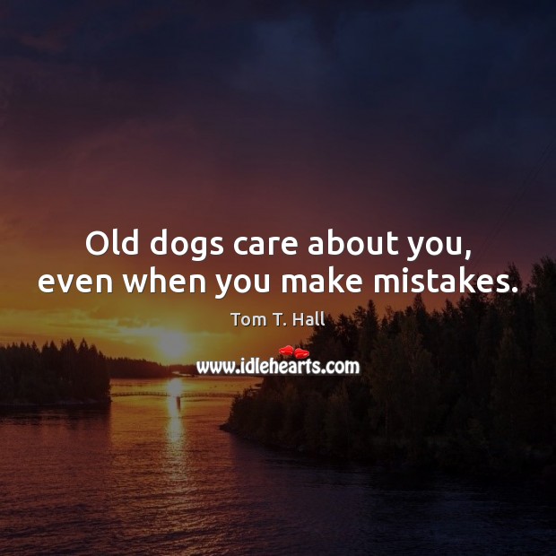 Old dogs care about you, even when you make mistakes. Image