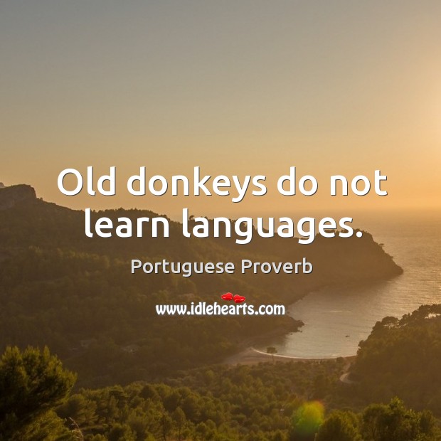 Old donkeys do not learn languages. Portuguese Proverbs Image