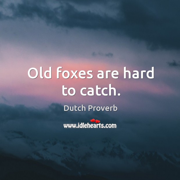 Old foxes are hard to catch. Image