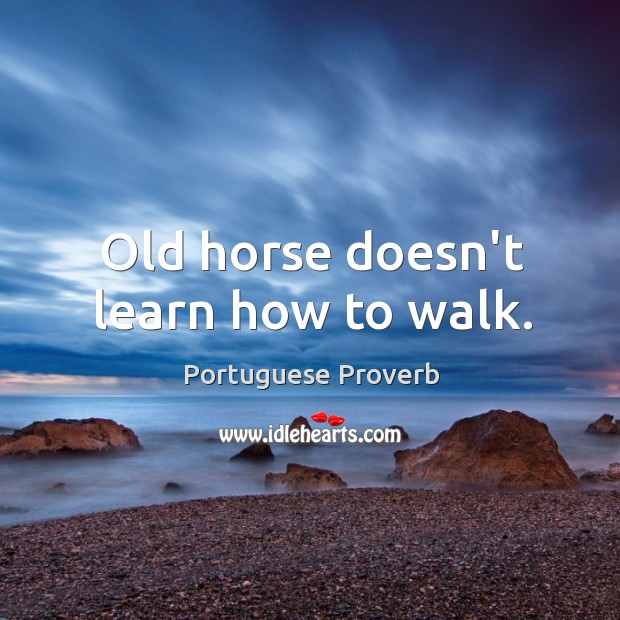 Old horse doesn’t learn how to walk. Portuguese Proverbs Image