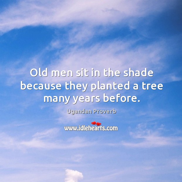 Old men sit in the shade because they planted a tree many years before. Ugandan Proverbs Image