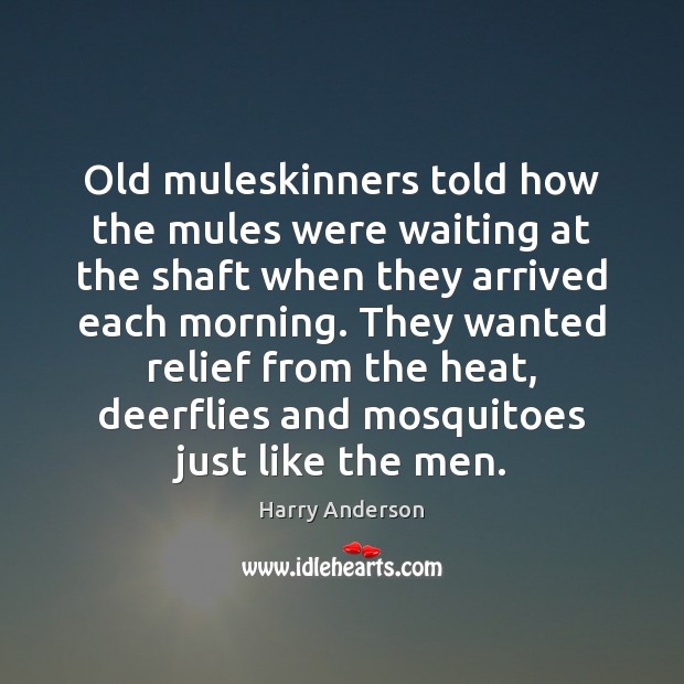 Old muleskinners told how the mules were waiting at the shaft when Harry Anderson Picture Quote