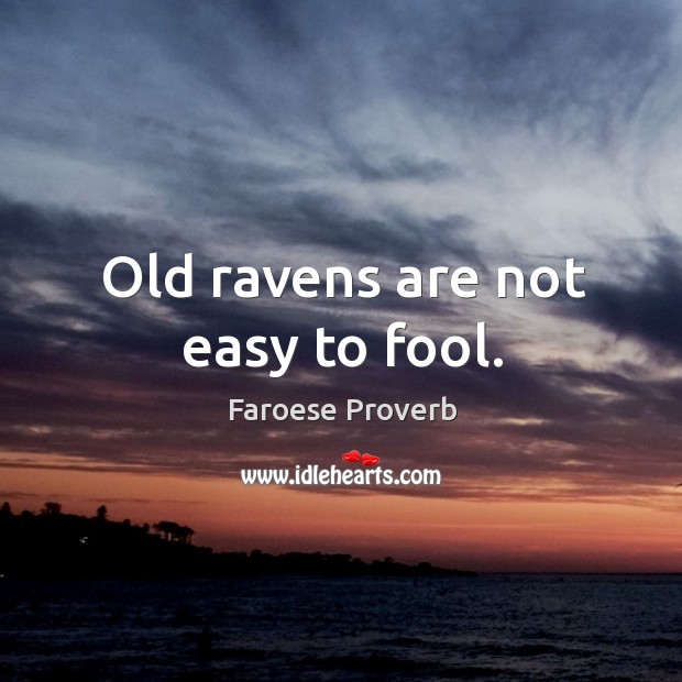 Old ravens are not easy to fool. Faroese Proverbs Image