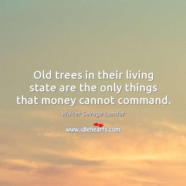 Old trees in their living state are the only things that money cannot command. Walter Savage Landor Picture Quote
