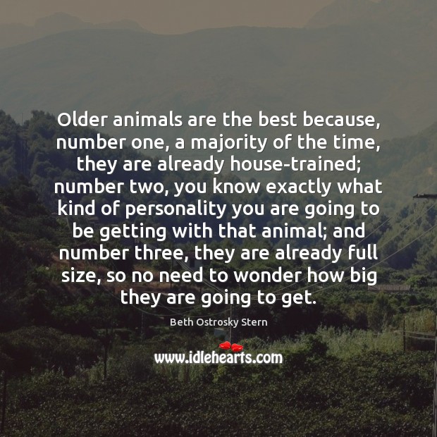 Older animals are the best because, number one, a majority of the Beth Ostrosky Stern Picture Quote
