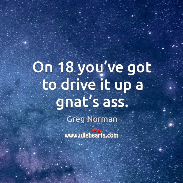 On 18 you’ve got to drive it up a gnat’s ass. Driving Quotes Image