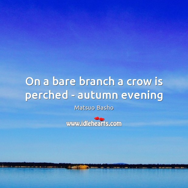 On a bare branch a crow is perched – autumn evening Image