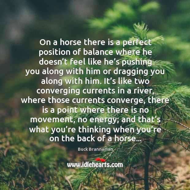 On a horse there is a perfect position of balance where he Buck Brannaman Picture Quote