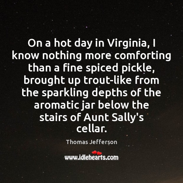 On a hot day in Virginia, I know nothing more comforting than Thomas Jefferson Picture Quote
