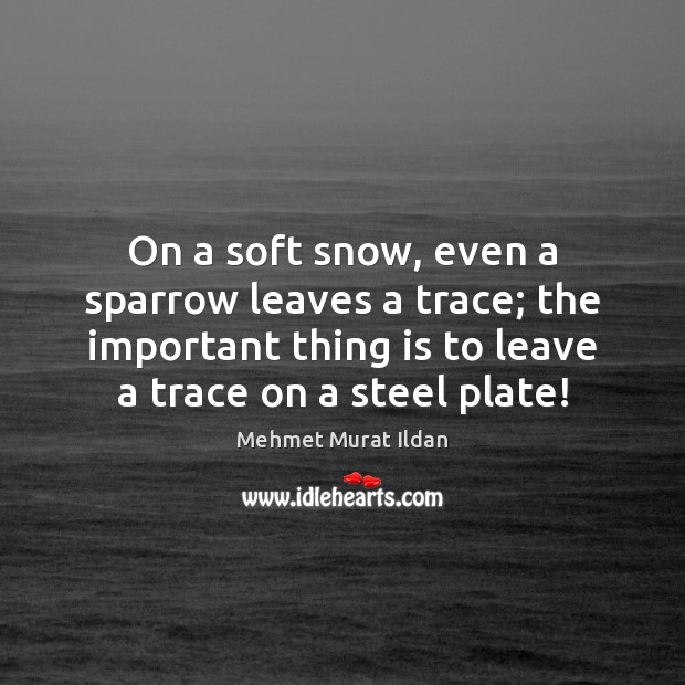 On a soft snow, even a sparrow leaves a trace; the important Image