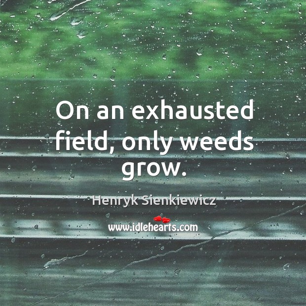 On an exhausted field, only weeds grow. Henryk Sienkiewicz Picture Quote