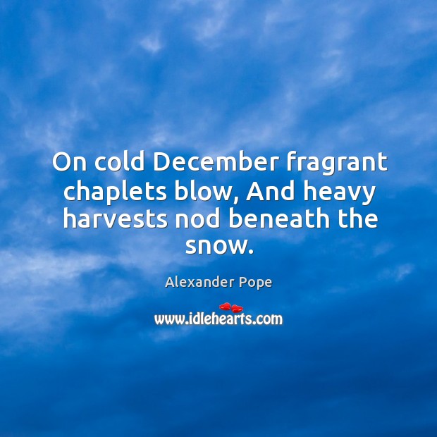 On cold December fragrant chaplets blow, And heavy harvests nod beneath the snow. Alexander Pope Picture Quote