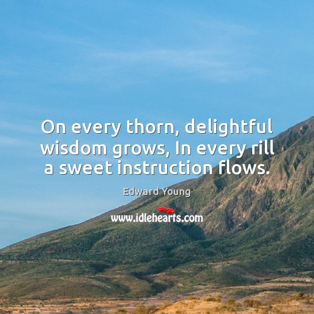 On every thorn, delightful wisdom grows, In every rill a sweet instruction flows. Edward Young Picture Quote