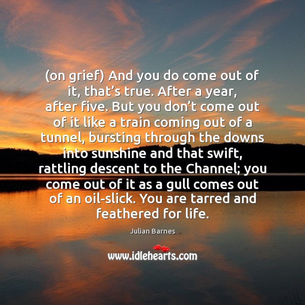 (on grief) And you do come out of it, that’s true. Julian Barnes Picture Quote