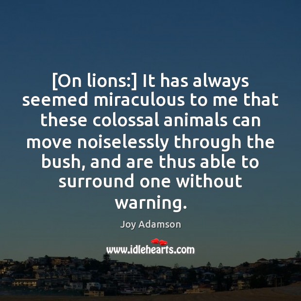[On lions:] It has always seemed miraculous to me that these colossal Joy Adamson Picture Quote
