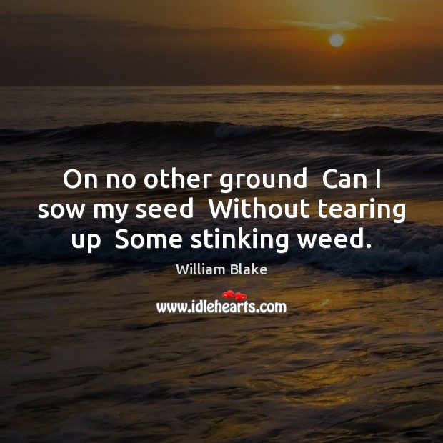 On no other ground  Can I sow my seed  Without tearing up  Some stinking weed. William Blake Picture Quote