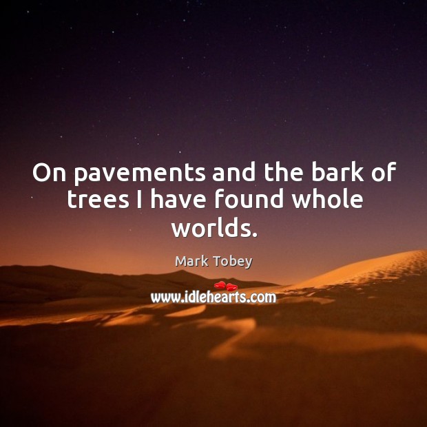 On pavements and the bark of trees I have found whole worlds. Image