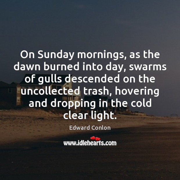 On Sunday mornings, as the dawn burned into day, swarms of gulls Edward Conlon Picture Quote