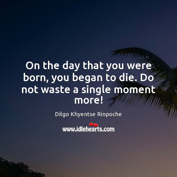On the day that you were born, you began to die. Do not waste a single moment more! Dilgo Khyentse Rinpoche Picture Quote