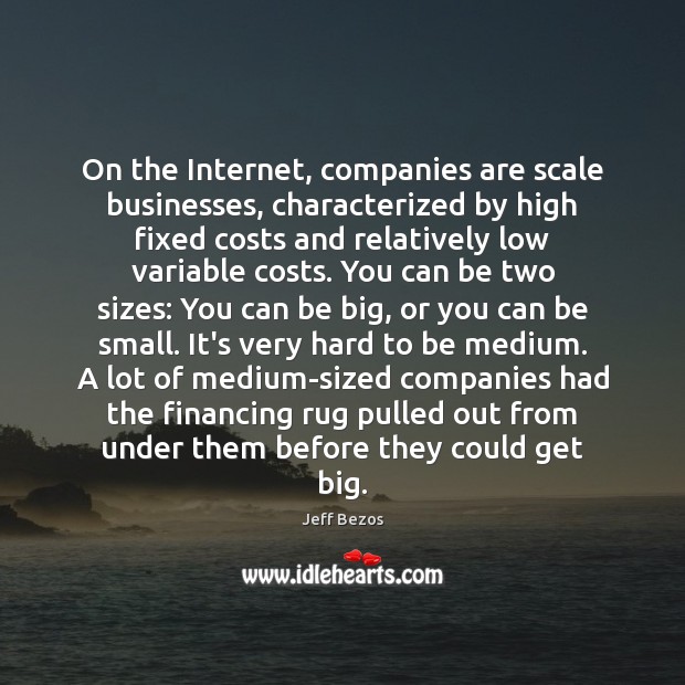 On the Internet, companies are scale businesses, characterized by high fixed costs Image