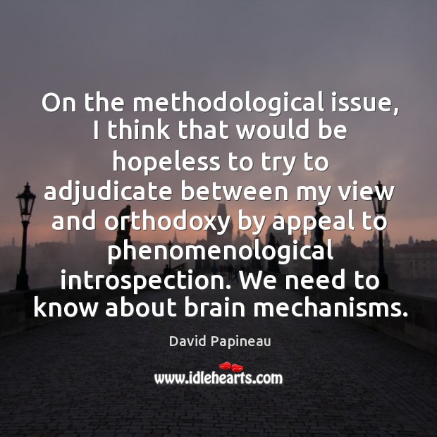 On the methodological issue, I think that would be hopeless to try David Papineau Picture Quote