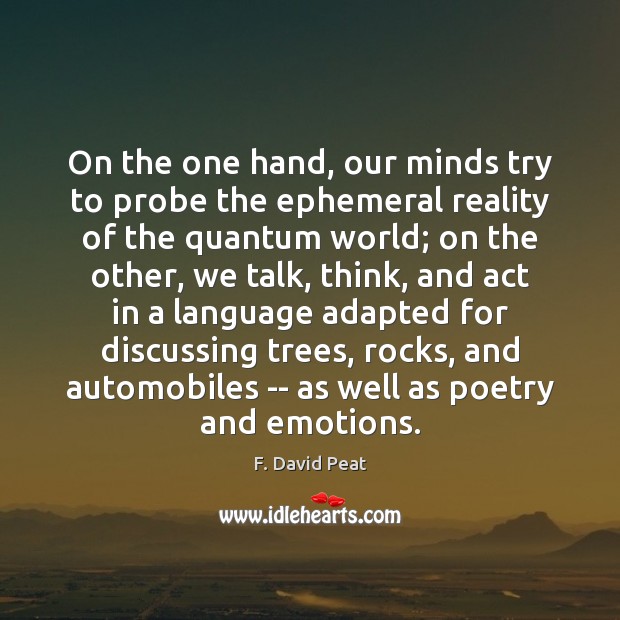 On the one hand, our minds try to probe the ephemeral reality F. David Peat Picture Quote