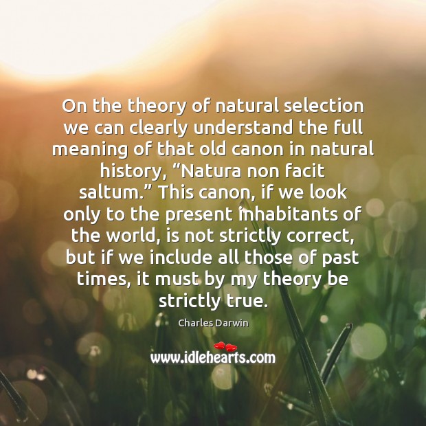 On the theory of natural selection we can clearly understand the full Charles Darwin Picture Quote