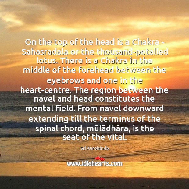 On the top of the head is a Chakra – Sahasradala or Sri Aurobindo Picture Quote