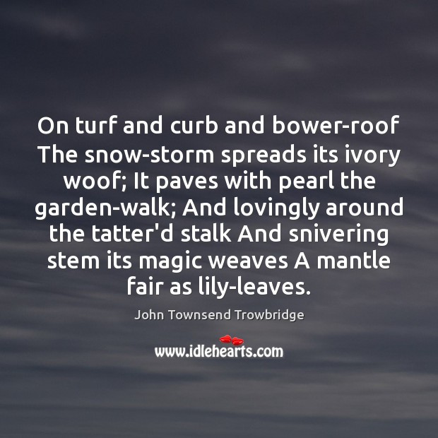 On turf and curb and bower-roof The snow-storm spreads its ivory woof; 